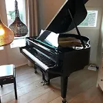 Next To The The Hague