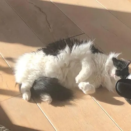 Next To The Lägenhet *