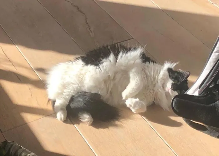 Next To The Lägenhet *